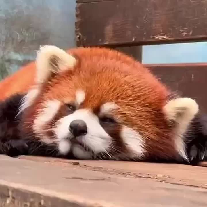 ����������� � �������� ������ ���� ������� ������ �����!
