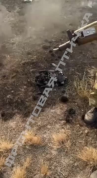 ���� ����� ������������, ������ �������� ���