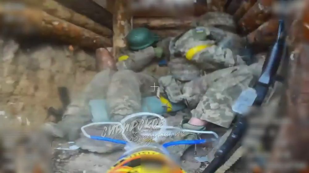 �������� FPV-����� �������� ������� ���������� ����������� �� ����� �������� ������� ��������� ������ ������� ��������� 155 ����