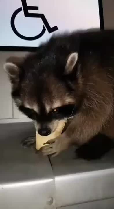 ������ ����, ������! �������� ��� ��� � ��������� ����������!