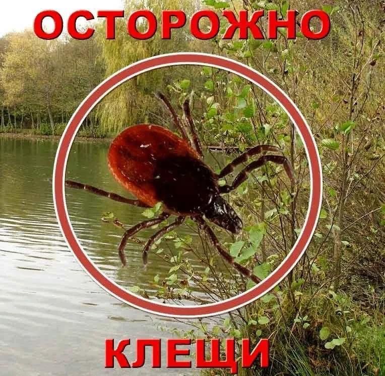 � ����������� ������� ���������� �����