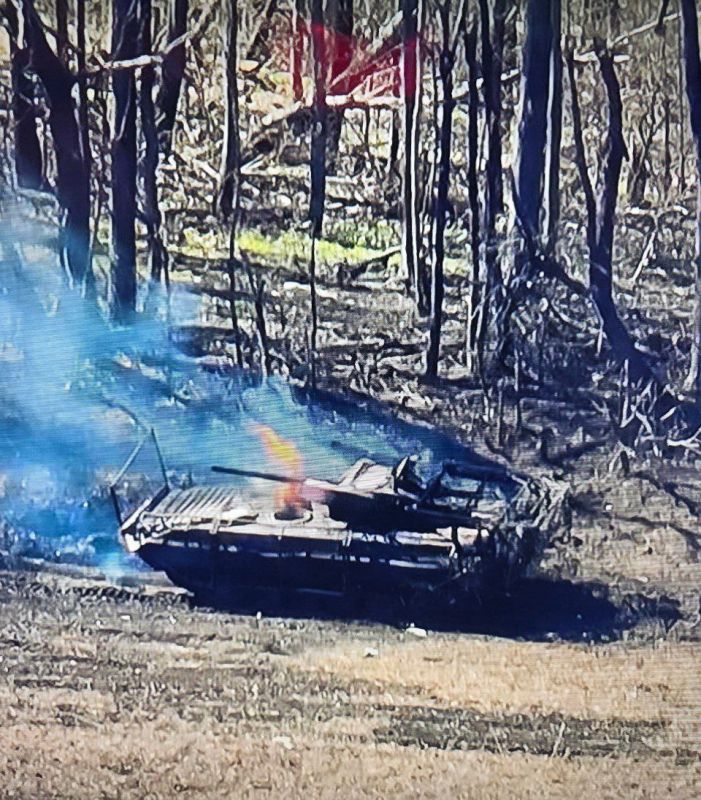 �������� �����: ������������ ������������ ��� � ������������ �������