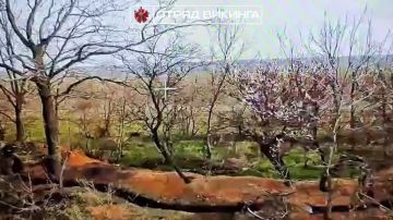 Обнулили расчет операторов БПЛА всу