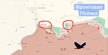 Запорожское оперативное направление