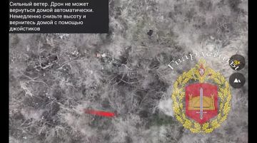 Эксклюзивные кадры, как наш дрон наносит высокоточный удар по минометной позиции ВСУ