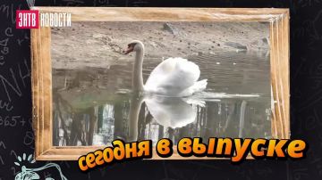Смотрите в понедельник в свежем выпуске программы "Большая Перемена"!