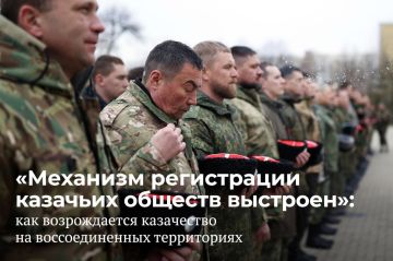 Три первичных казачьих общества зарегистрировано в Запорожской области