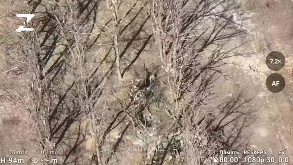 ��������� �������� ��� �����������