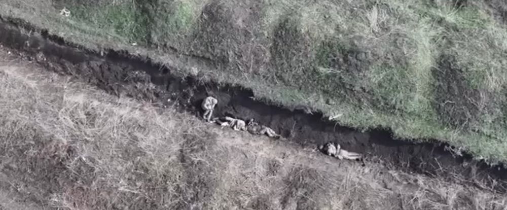 �������� FPV (�����������) ������� �������� ���� ��������� �� ����� �� �������� �������� ������