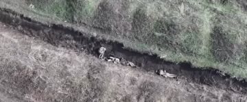 Оператор FPV (оптоволокно) устроил прожарку трем укроботам на одном из участков Курского фронта