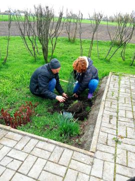 В селе Нововладимировка проведен субботник