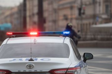 В Запорожской области в 2024 году возбуждено 17 уголовных дел по миграционным нарушениям