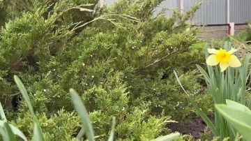 Доброе утро! Отдыхайте, заряжайтесь энергией и встречайте новый день с улыбкой!
