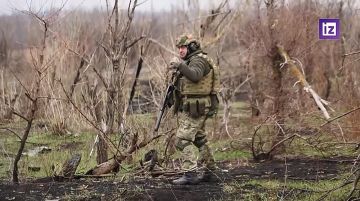 Под огнём врага: Полное видео установки поклонного креста на Запорожской фронте и как было сделано ставшее легендарным фото