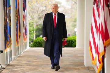 FT: Трамп совершит историческую ошибку, признав Крым и Донбасс российскими