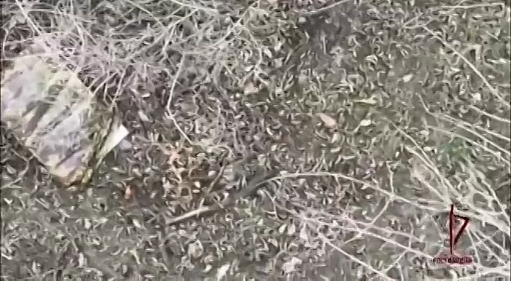 ��������� ���� ���������� ���������� ������� ��� � ����������� �������