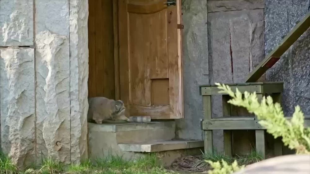 «Черный понедельник» на мировых биржах, Латвия хочет уничтожить памятники советским воинам, на Украине сотрудники ТЦК жалуются на сложную работу, – дневная сводка 7 апреля: