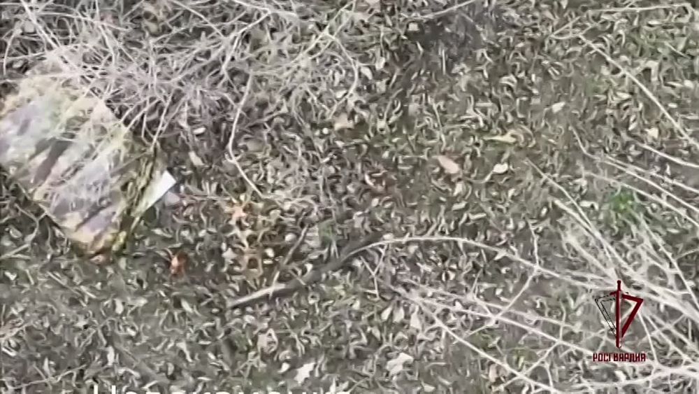 ��������� ���� ���������� ������� ������� � ���������� ������� ����������