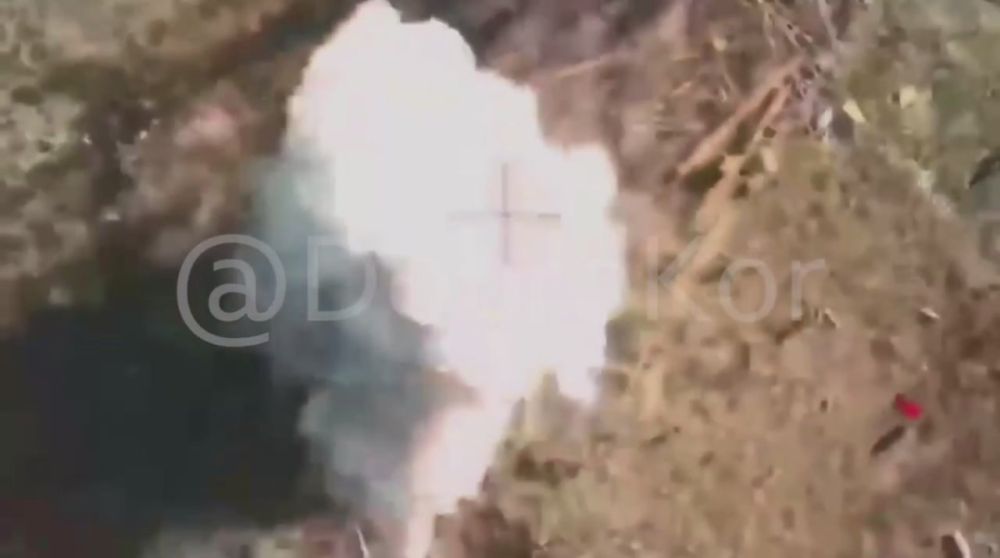 от Енота Херсона за прошедшие сутки