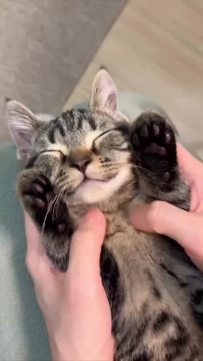 � ������� ��������� ����� ������� ������!