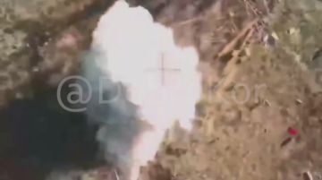      от Енота Херсона      за прошедшие сутки