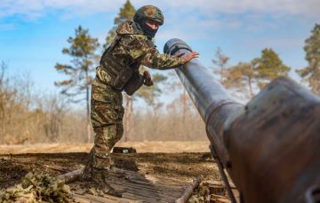 «Освободили 8 кв. км»: ВС РФ вышли на окраины села Шевченко у границы ДНР и Запорожской области