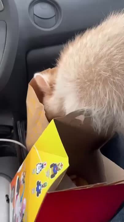 ������ ����, ������! �������� ��� ��� � ��������� ����������!