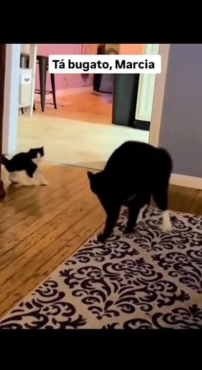 ������ ����, ������!. �������� ���� ������ � ��������! ��� ����� ���� ��������