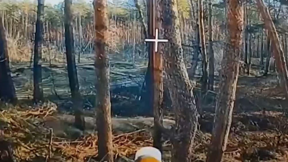 ��������� FPV ����������� ����� ����� "�����" ���������� ������� � ���������� ��� �� ������� ������