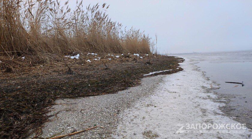 Над акваторией Азовского моря сбиты 7 БпЛА ВСУ