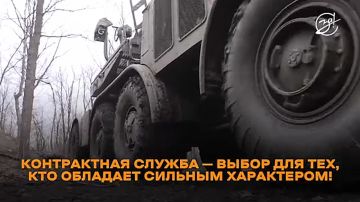 Защитники Родины: путь к миру и безопасности