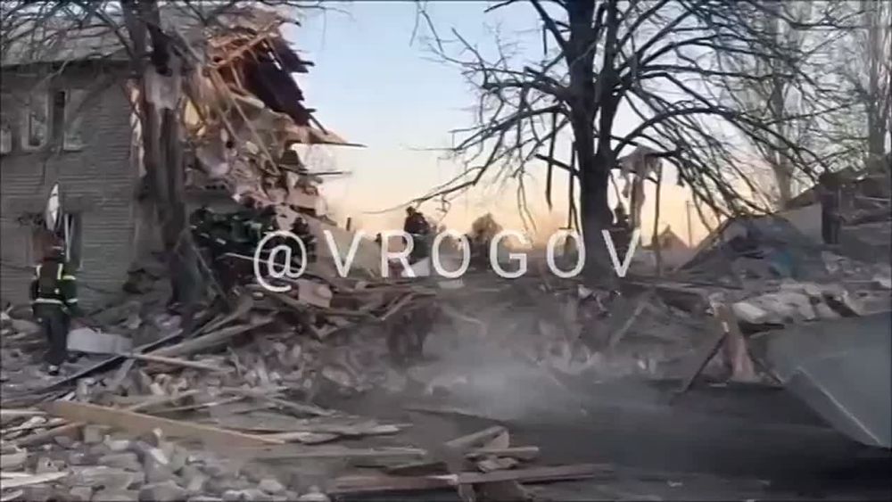 �������� �����: ��� �������� ������ � ���������� ��������� ���������������� ���� � ���� ������������ ������������� �������������� ������ ����������� ������� � ������� 2013 � 2016 ���� ��������