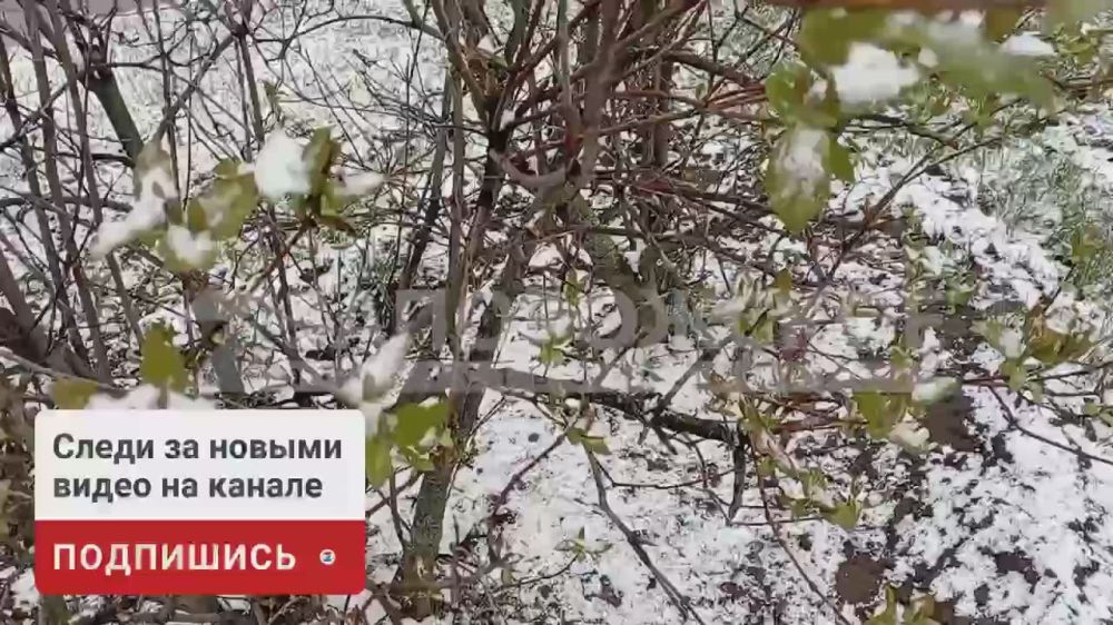 �������� ������: ������� ������ ������ ������� ����������