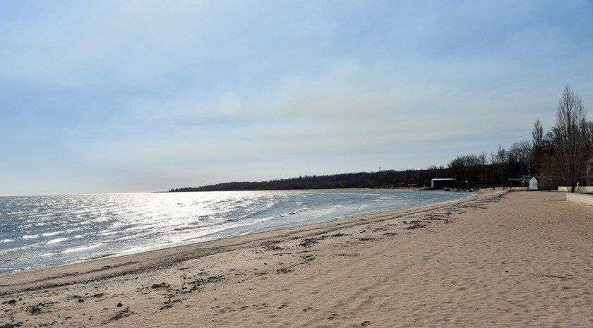 � ����������� ������� �������� ���������� ������ ����� ��������� ��������� ����