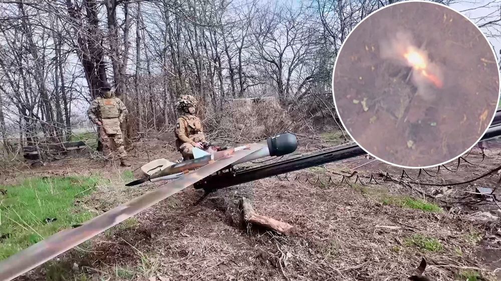 ���������� ���������� ��������� ������������ � ������� Zala ������� ���