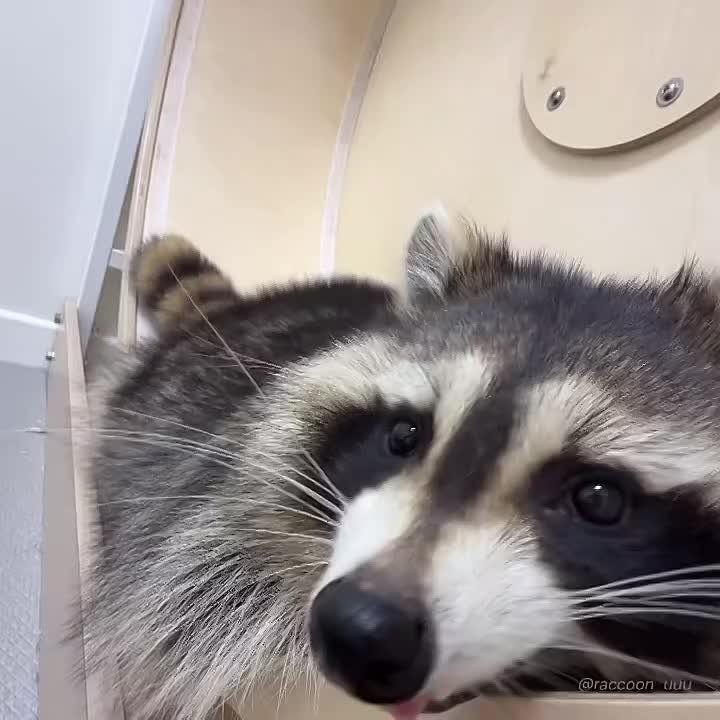 ������ ����, ������! �������� ��� ��� � ��������� ����������!