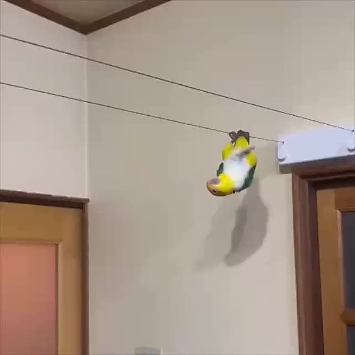 ����� �������� ����� ������� ����!
