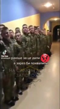Украинский гитлерюгенд. На видео построение в одном из украинских кадетских училищ