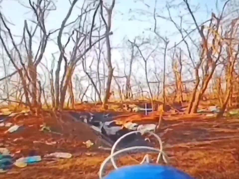 ������� �������: �� ��� ������� �������� �� ��, ��� � ���� ������ ������ �������� ���������� ����� ����� �� ��������� �� �����