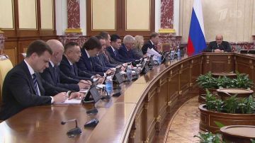 Субсидии регионам, поддержку многодетных семей и развитие туризма обсуждали в правительстве