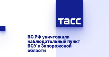 ВС РФ уничтожили наблюдательный пункт ВСУ в Запорожской области