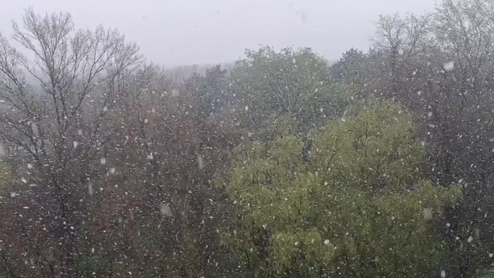 � ��� � ��� � ������?. � ������