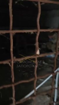 Позавчера прибыло 25 человек и уже съе