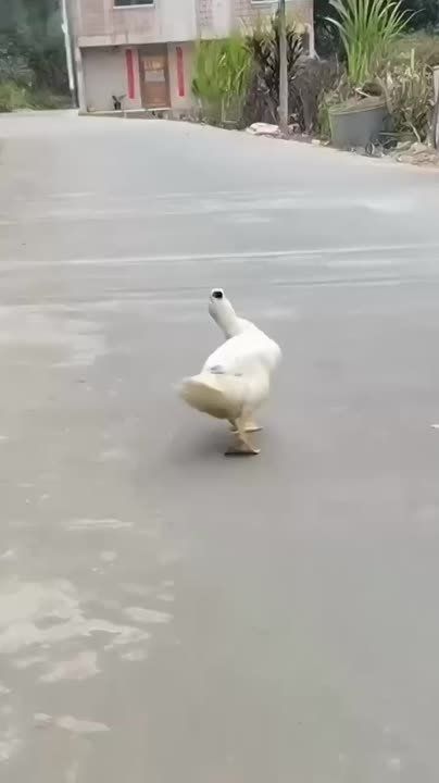 ��������, �� ��� �� ��������� �������� �� ������, ������))))