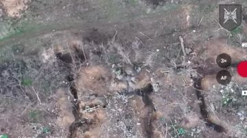 На Ореховском направлении в ходе воздушной разведки оператор БПЛА 1430 гвардейского полка обнаружил скрытые укрепления противника