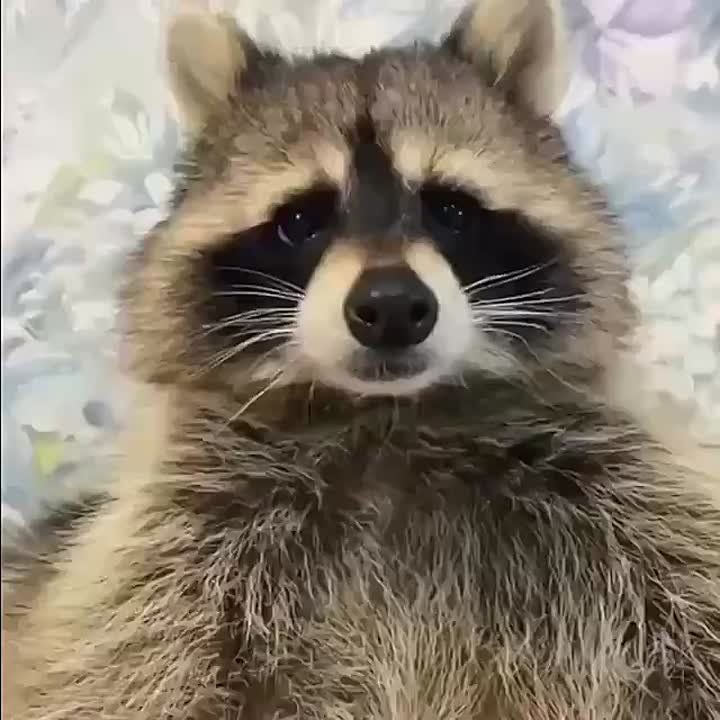 ������ ����, ������! �������� ��� ��� � ��������� ����������!