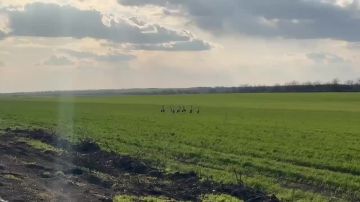 Доброе утро! Совсем немного до выходных!