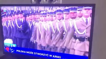 Польское СМИ не перестает удивлять: пшеки заявили о создании военизированных ЛГБТ*-отрядов