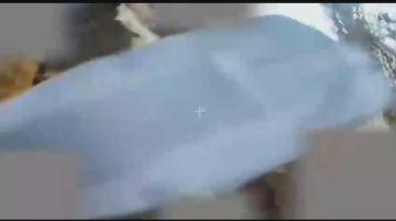      от Енота Херсона      за прошедшие сутки
