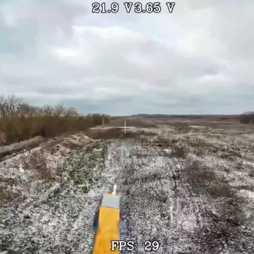Наши операторы FPV (оптоволокно) продолжают успешную ликвидацию укронацистов во время ротации на одном из участков Сумского фронта